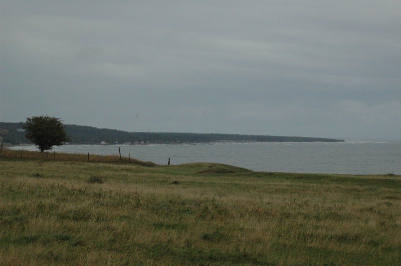 Zweden Falsterbo 2007 170.jpg