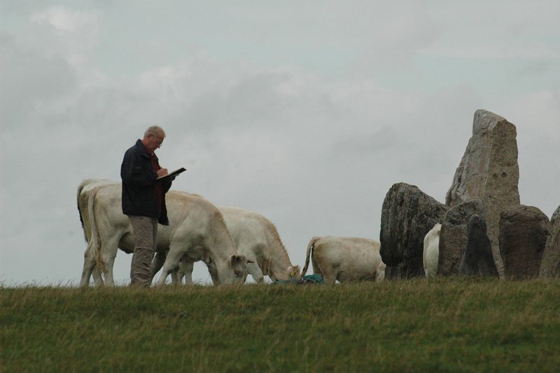 Zweden Falsterbo 2007 176.jpg