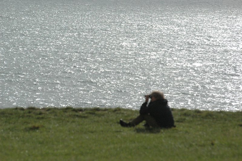 Zweden Falsterbo 2007 197.jpg