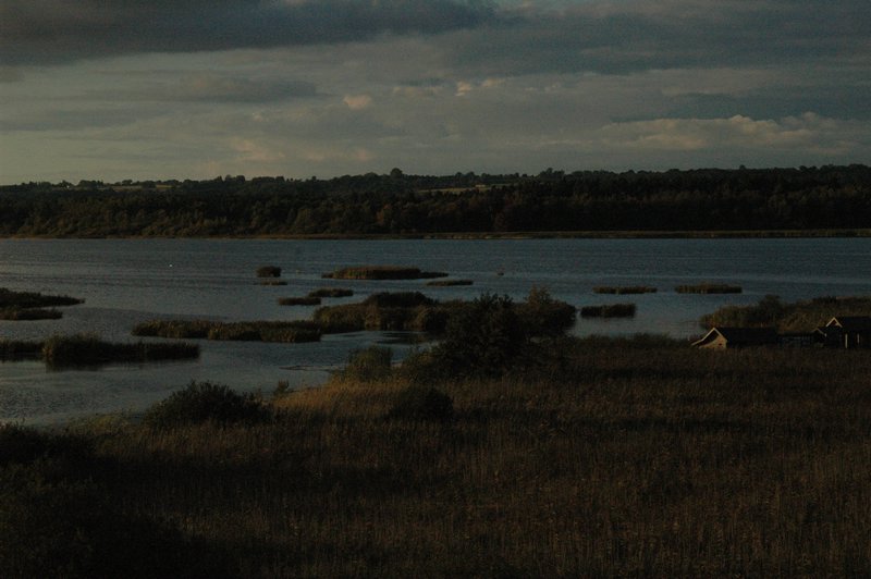 Zweden Falsterbo 2007 224.jpg