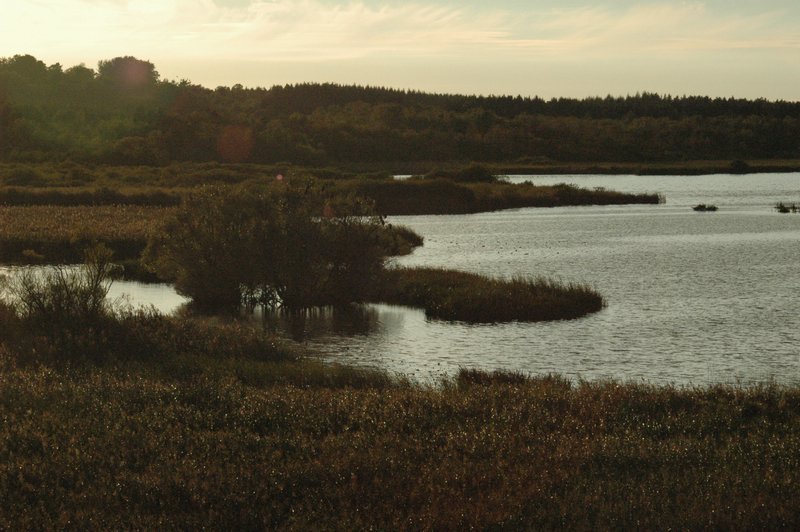 Zweden Falsterbo 2007 225.jpg