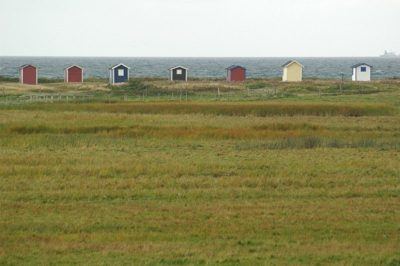 Zweden Falsterbo 2007 256.jpg