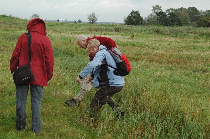 Zweden Falsterbo 2007 263.jpg