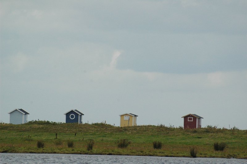 Zweden Falsterbo 2007 269.jpg