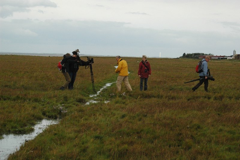 Zweden Falsterbo 2007 271.jpg