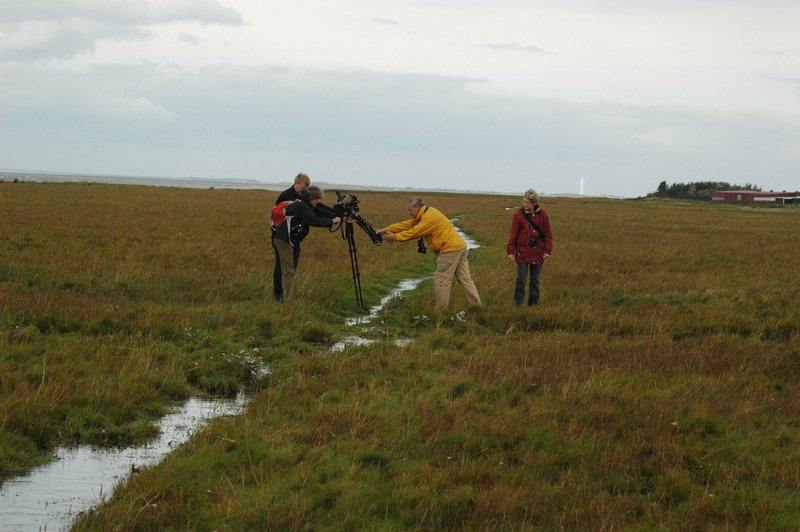 Zweden Falsterbo 2007 272.jpg