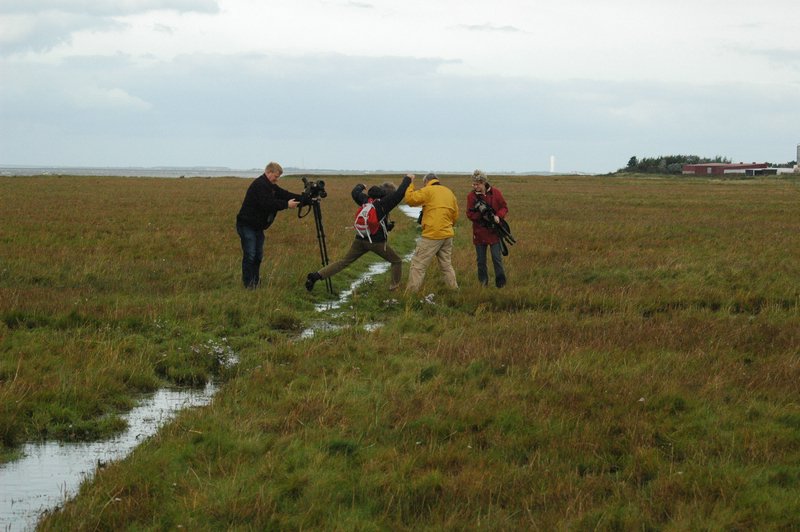 Zweden Falsterbo 2007 274.jpg