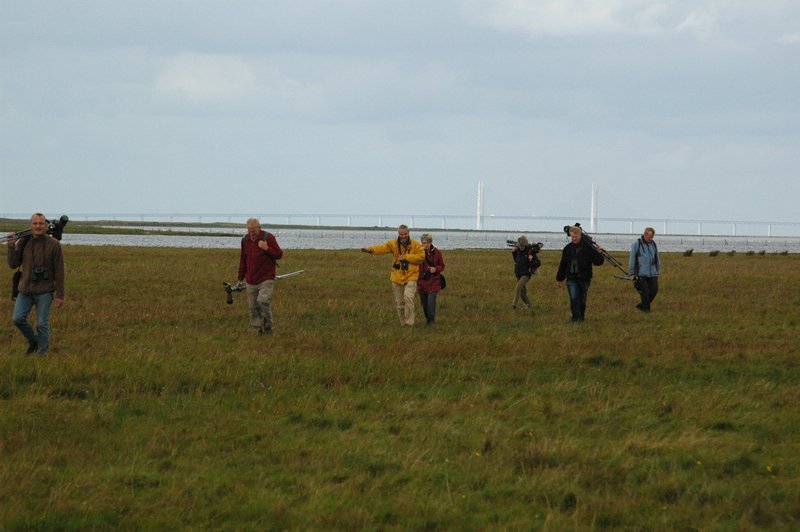 Zweden Falsterbo 2007 275.jpg