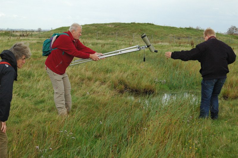 Zweden Falsterbo 2007 277.jpg