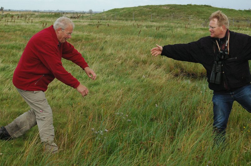 Zweden Falsterbo 2007 279.jpg