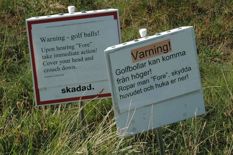 Zweden Falsterbo 2007 312.jpg