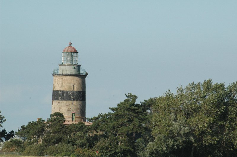 Zweden Falsterbo 2007 335.jpg