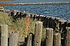 Zweden Falsterbo 2007 323.jpg