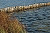 Zweden Falsterbo 2007 330.jpg